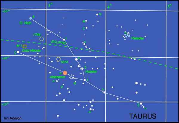 瘤牛Zebu ——欧洲印度神话中牛