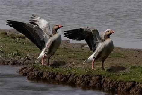 2008年度国际奖学金项目开