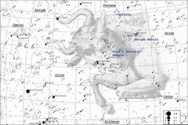 瘤牛Zebu ——欧洲印度神话中牛