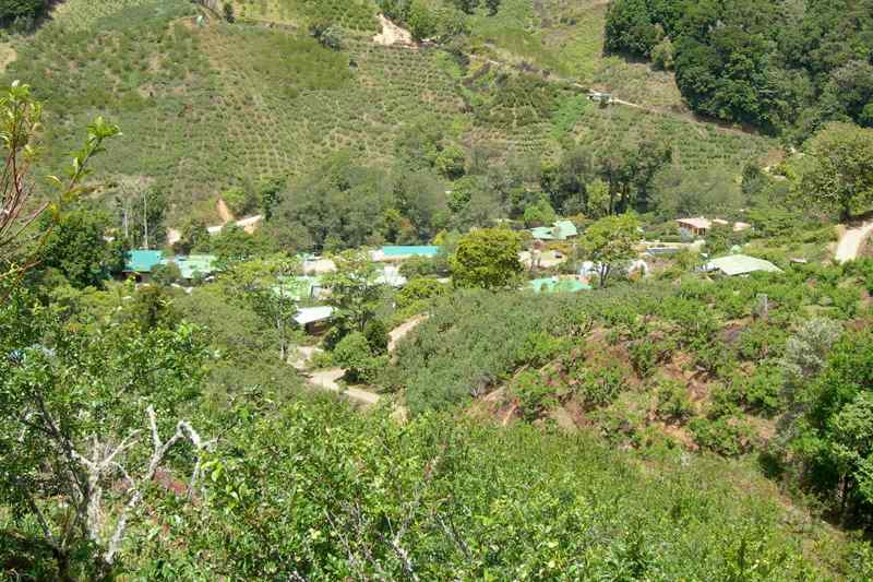 随鸟走天涯——哥斯达黎加生态之旅