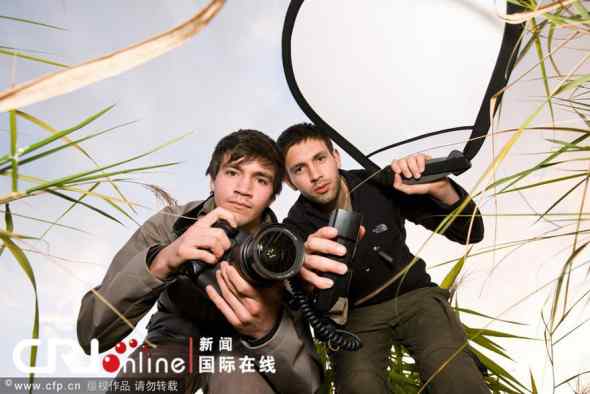 非洲动物——百万牛羚大迁徙