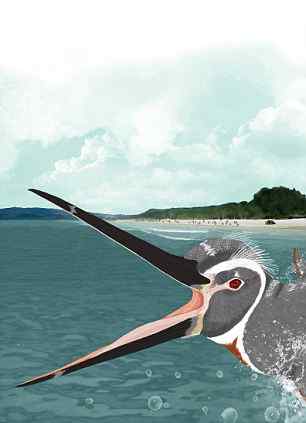 秘鲁发现3600万年前史前巨型企鹅化石(图)