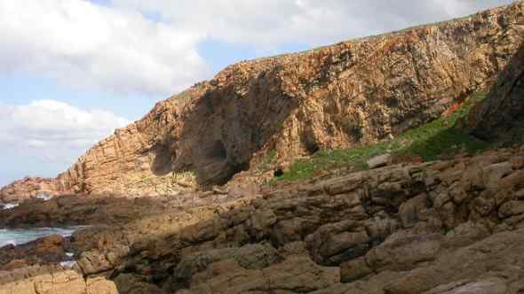 远古人类是怎样在冰川时期幸存下来的？