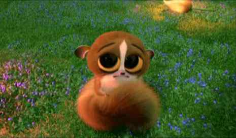 【连载】计算机出版社OReilly《UNIX技术手册》封面上的动物——眼镜猴