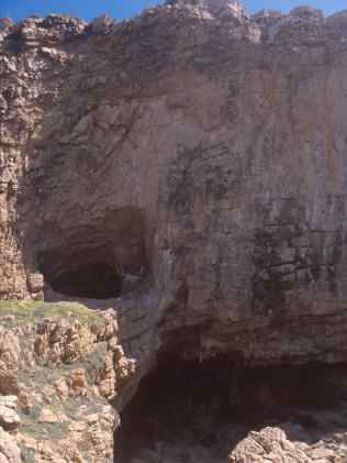 远古人类是怎样在冰川时期幸存下来的？