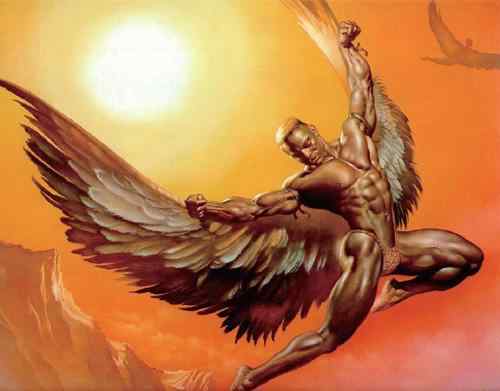 鸟的飞行原理—人类飞天梦