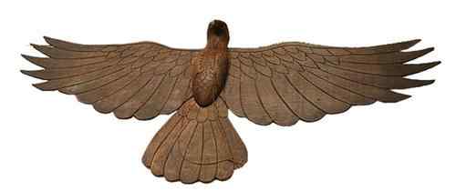 鸟的飞行原理—人类飞天梦