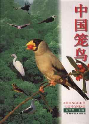 中国笼鸟