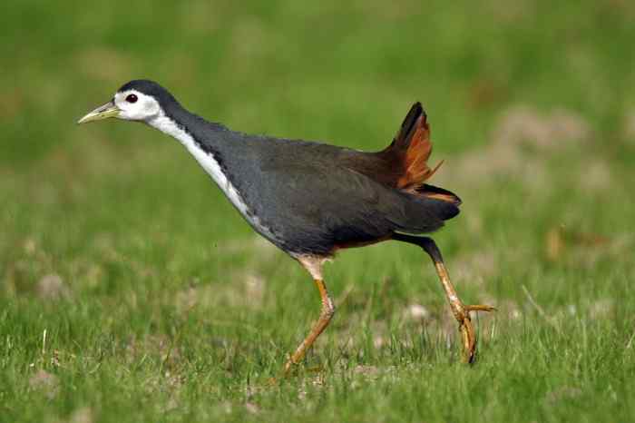 杭州老郑摄影续