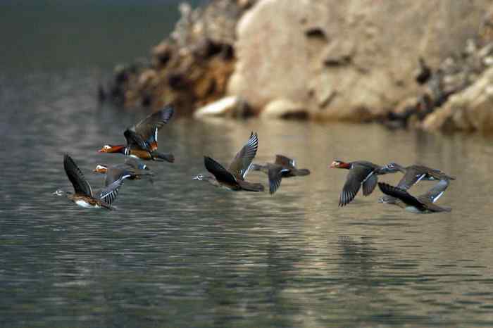 杭州老郑摄影续