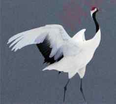 中国鸟事——十种候选国鸟