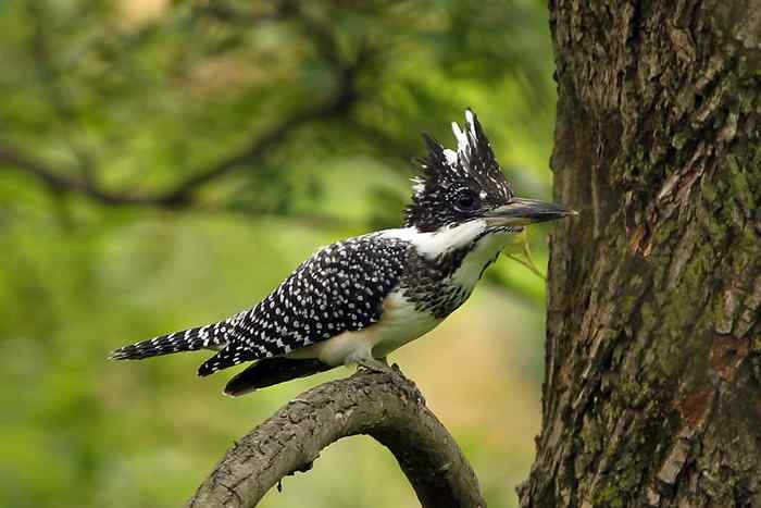 杭州老郑摄影续