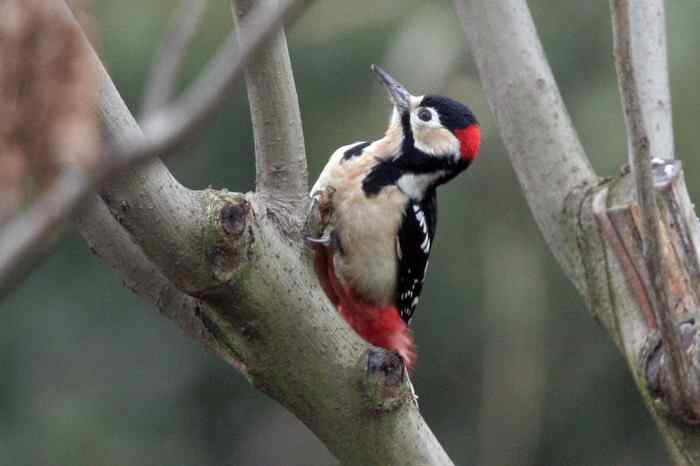 杭州老郑摄影续