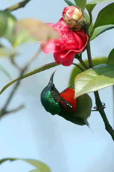 杭州老郑摄影续