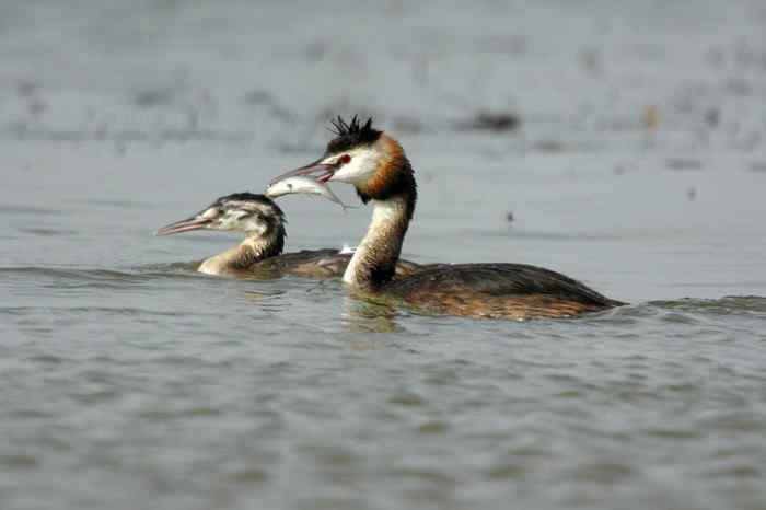 杭州老郑摄影续