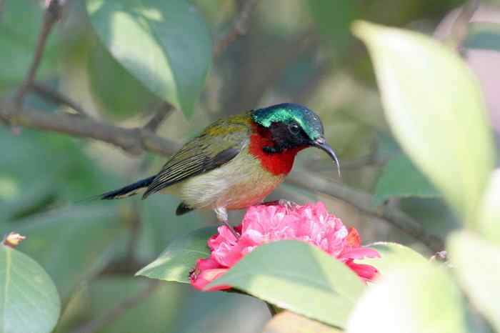 杭州老郑摄影续