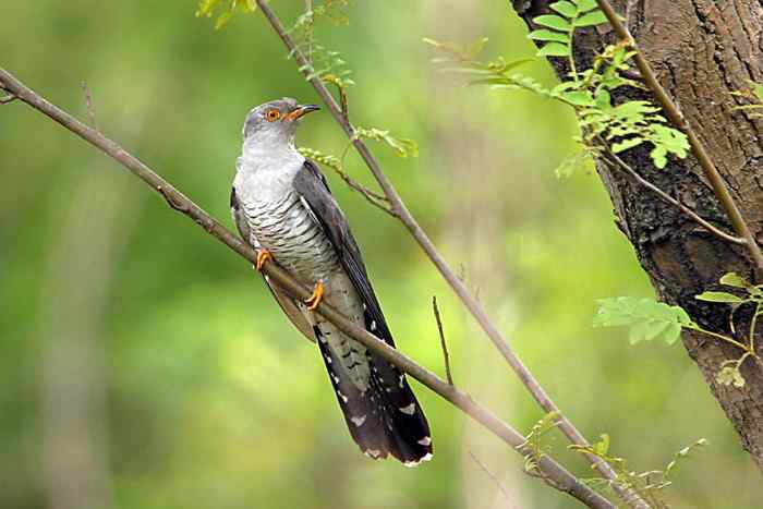 杭州老郑摄影续