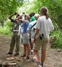 加勒比海的首个鸻鹬网络保护区成立