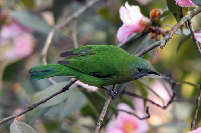杭州老郑摄影续
