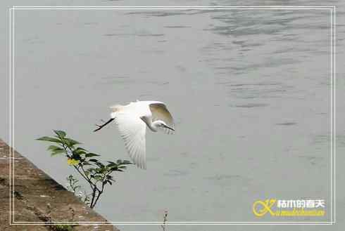 鈥溎袢蒜澋木适澜纭菊掌