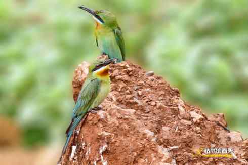 盛夏天拍鈥溊鹾矸浠⑩