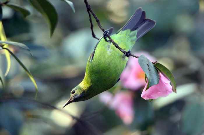 杭州老郑摄影续