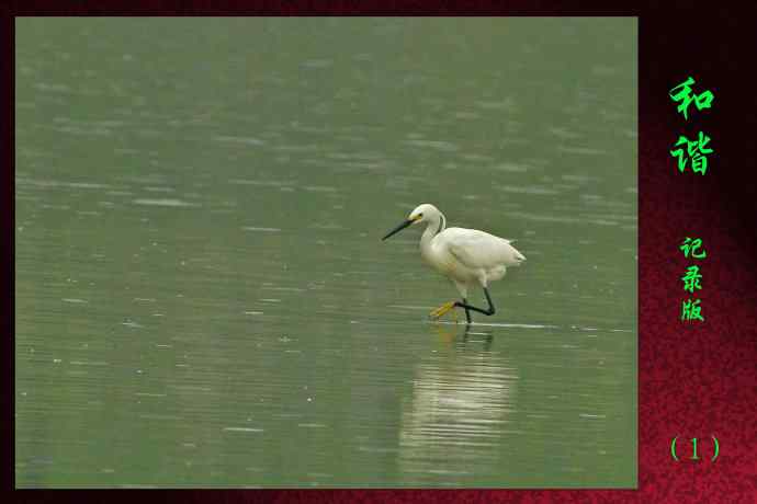 和谐 wbr wbr记录版 wbr wbr（1）