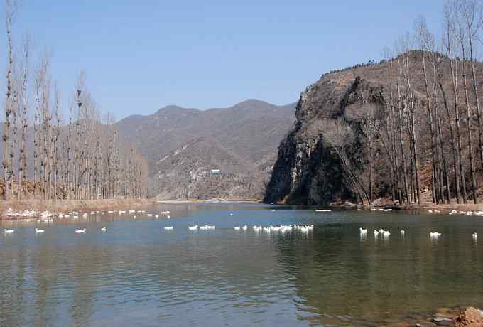 怀沙河鸟调 怀沙河鸟调