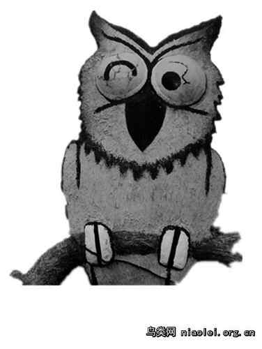 10只猫头鹰=10年有期徒刑