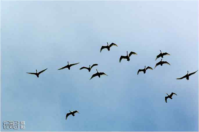  点击图片或使用键盘← →翻页