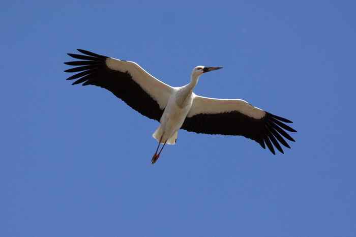 杭州老郑摄影续