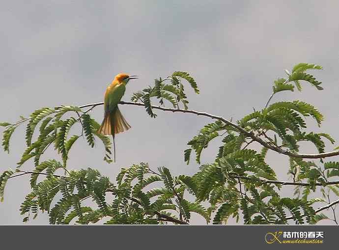 断线的鈥湻珞葩濃敿锹尖溌毯矸浠⑩