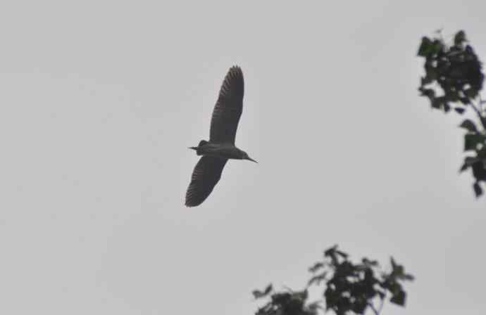 20100505当日总结