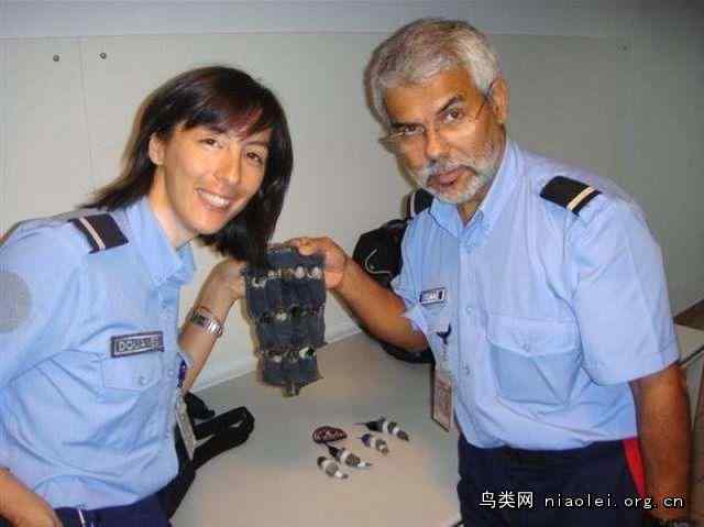 内裤男走私蜂鸟被抓