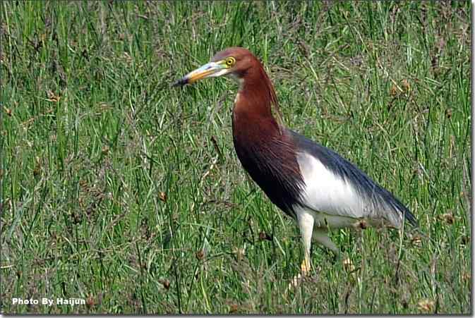  点击图片或使用键盘← →翻页