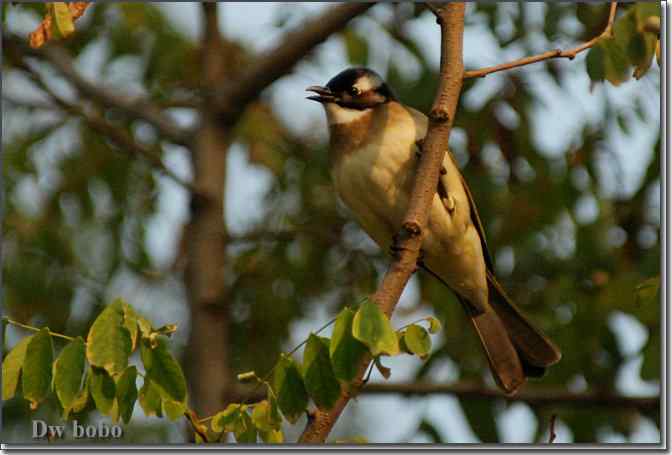 点击图片或使用键盘← →翻页