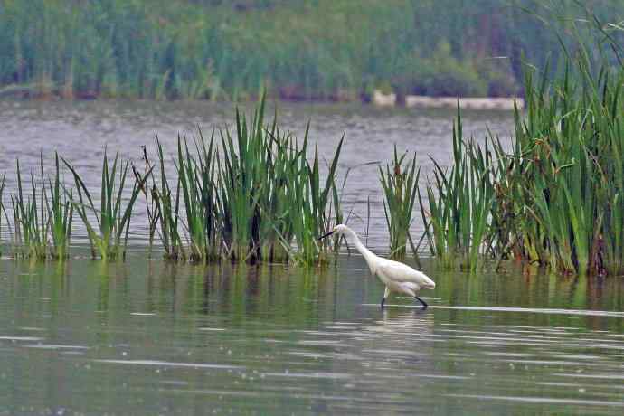 和谐 wbr wbr记录版 wbr wbr（2）