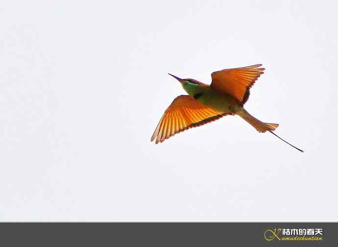 断线的鈥湻珞葩濃敿锹尖溌毯矸浠⑩