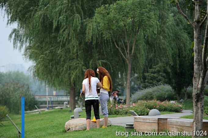 鸟儿快乐.人更快乐(沙河.奥体公园)