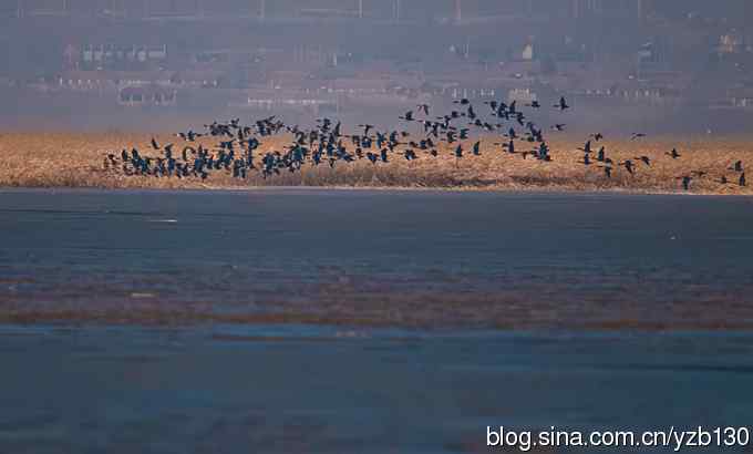 今日野鸭湖鈥斺敶筇於欤ㄗ橥迹20张图片）