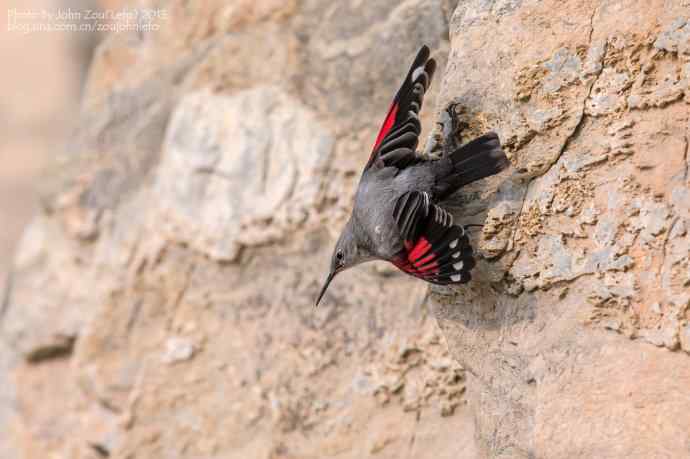 2013年第一拍的好头彩鈥斺敽斐嵝谌 2013年第一拍的好头彩鈥斺敽斐嵝谌