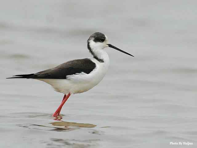 我憧憬那湾碧水 wbr. wbr我流连那片土地