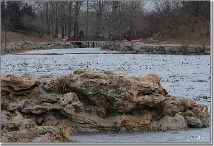 参加自然之友观鸟活动