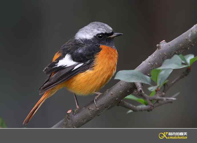 近拍鈥湵焙煳拆垛潯臼蹬摹