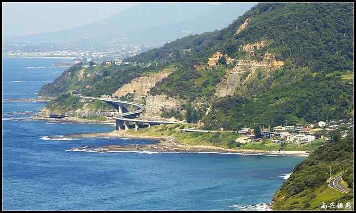 悉尼卧龙岗观鸟：从雨林到海滩