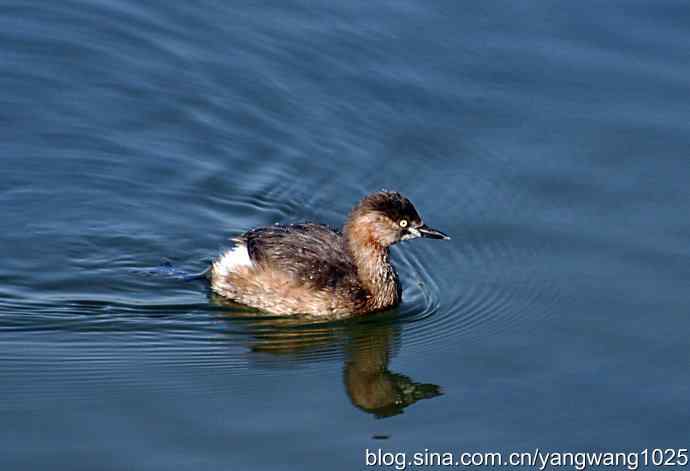 颐和园的收获（小PT）
