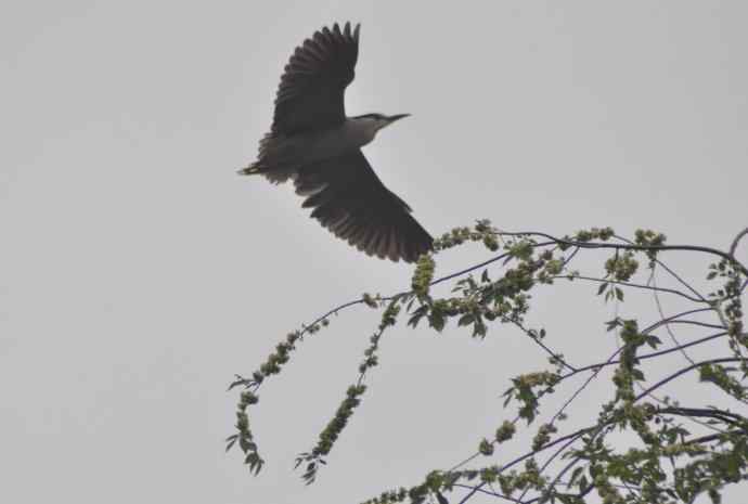 20100505当日总结