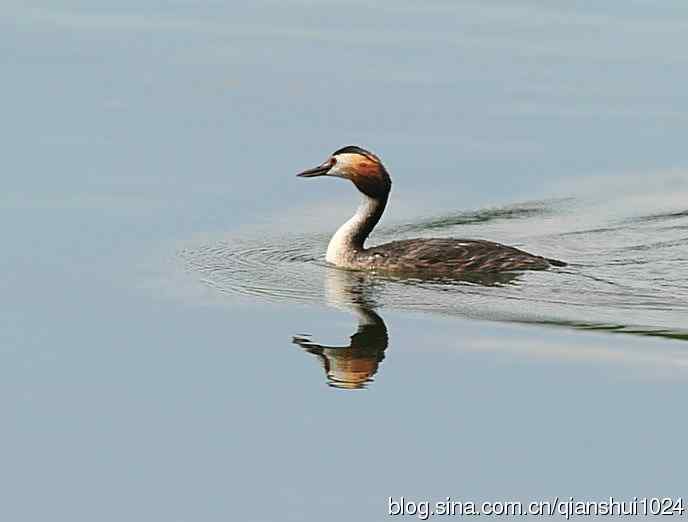 风头(pt)渐渐远去