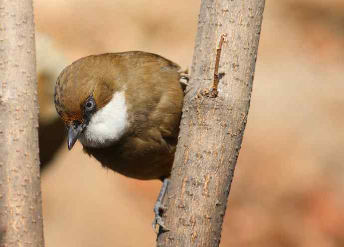 鈥溎稚酵踱澰诰┏堑某聊兆