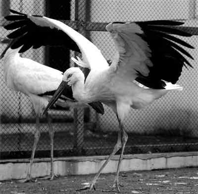 莫莫格国家级自然保护区